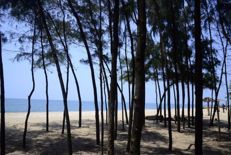Kuzhupilly Beach, Ernakulam, Kerala - Vushii.com